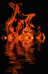 Similar image 13312552