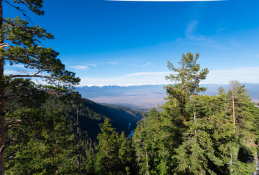 Similar image 13312474