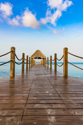 Similar image 13312523