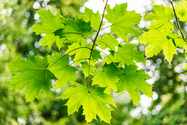 Similar image 13312543