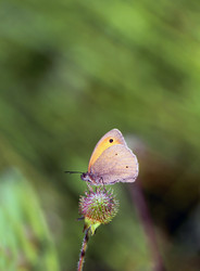 Similar image 13309834