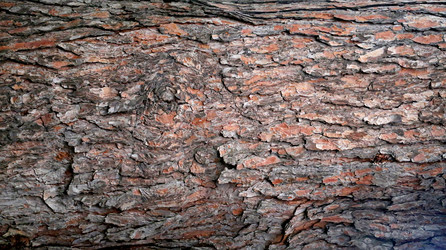 Similar image 13309838