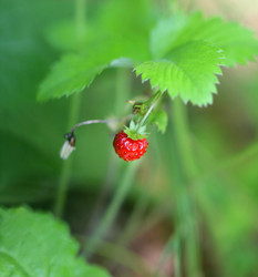 Similar image 13309839