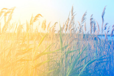 Similar image 13309883