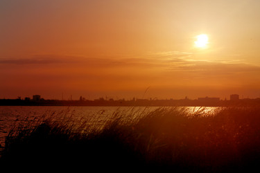 Similar image 13309891