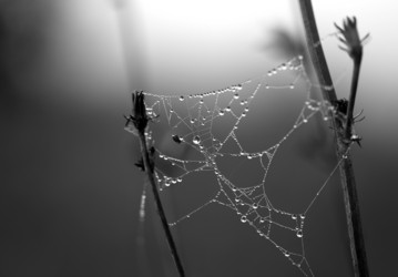 Similar image 13309897