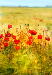 Similar image 13309880