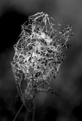 Similar image 13309884