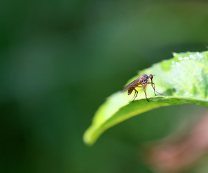 Similar image 13309919