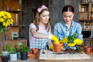 Similar image 13315199