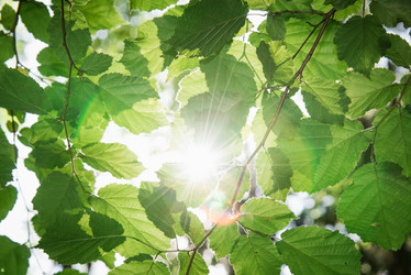 Similar image 13312529