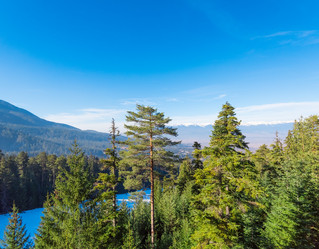 Similar image 13312536