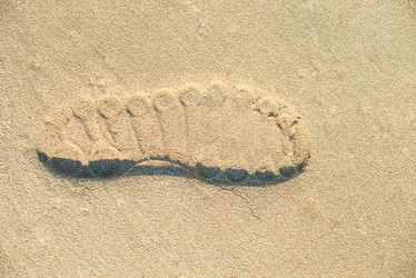 Similar image 13312546