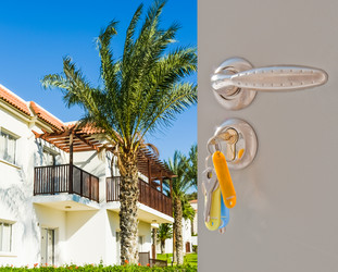 Similar image 13312569