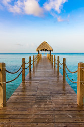 Similar image 13312370