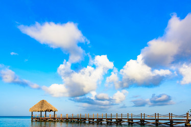 Similar image 13312373