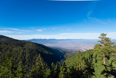 Similar image 13312386