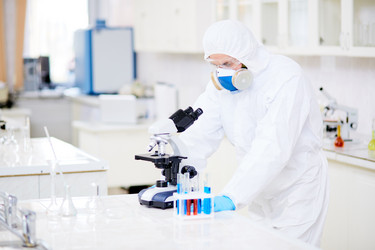 Similar image 13306860