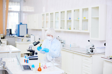 Similar image 13306865