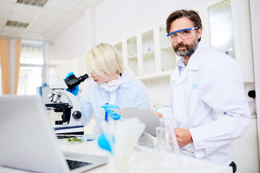 Similar image 13306929