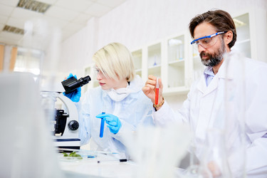 Similar image 13306970