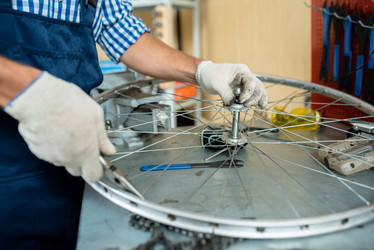 Similar image 13306975