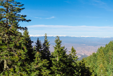 Similar image 13312402