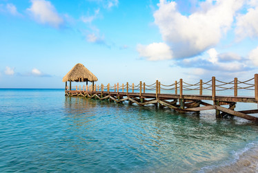 Similar image 13312403