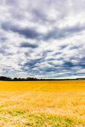 Similar image 13312435