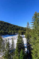 Similar image 13312418