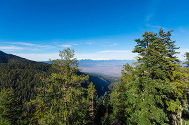 Similar image 13312441