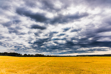 Similar image 13312432