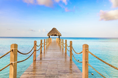 Similar image 13312525