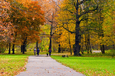 Similar image 13305514