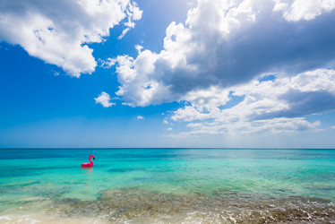 Similar image 13312586