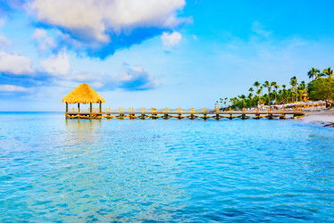 Similar image 13312479