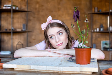 Similar image 13315028