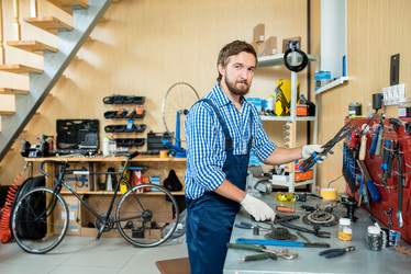 Similar image 13306584