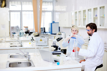 Similar image 13306855