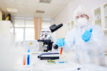 Similar image 13307053