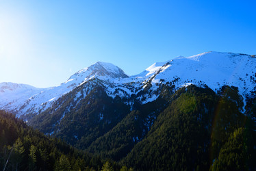 Similar image 13312542