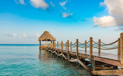 Similar image 13312639