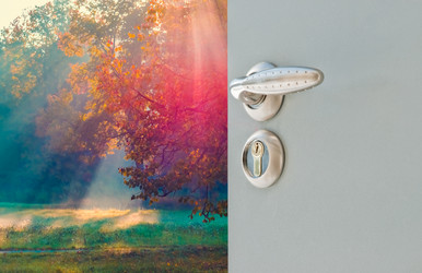 Similar image 13312547