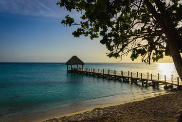 Similar image 13312616