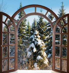 Similar image 13312621