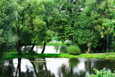 Similar image 13312591