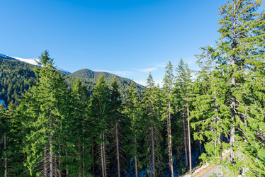 Similar image 13312596