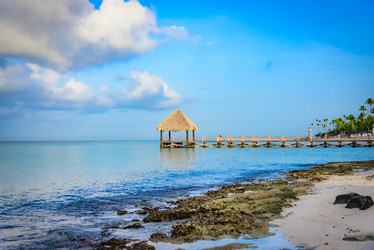 Similar image 13312631