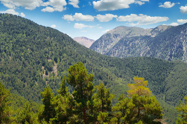 Similar image 13310319