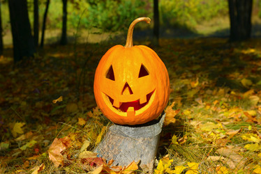 Similar image 13310322